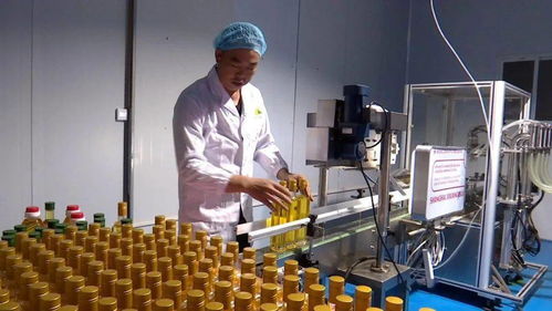 科技創(chuàng)新助力榕江山茶油產(chǎn)業(yè)實(shí)現(xiàn)自動(dòng)化生產(chǎn)